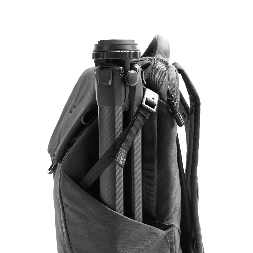 Peak Design Everyday Backpack 30L Ash – Joel Camera